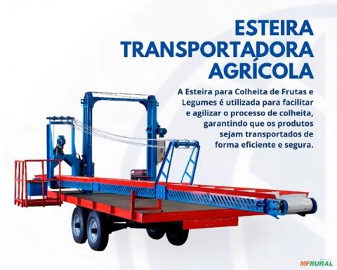 Esteira para Transporte de Frutas e Legumes Imagem Esteira para Transporte de Frutas e Legumes