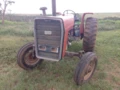 Vendo um trator Massey Ferguson 290