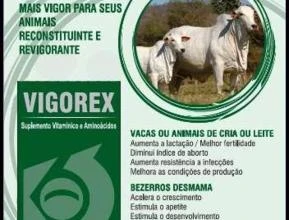 VIGOREX EXPLOSÃO E GANHO DE PESO