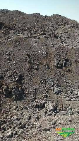 Turfa Composta Imagem Turfa Composta