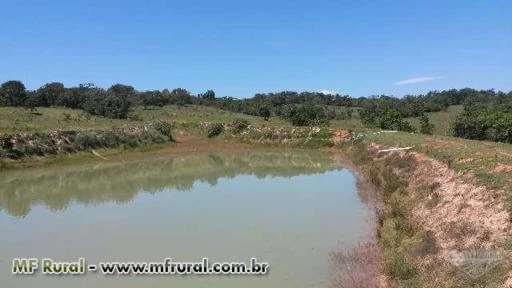Fazenda em Vila Propicio-GO-50 Hectares-OTIMA PARA PESCA