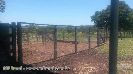 Fazenda em Vila Propicio-GO-50 Hectares-OTIMA PARA PESCA