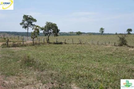Fazenda- 69,33 hectares- Santo Antônio do Descoberto