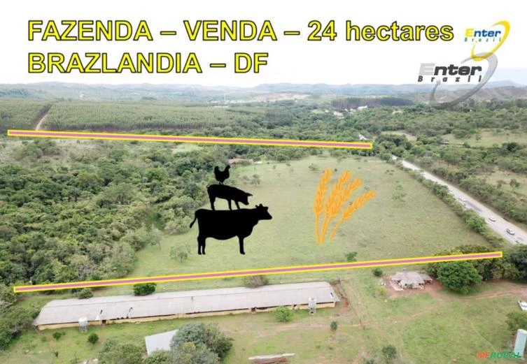 VENDA - Fazenda 24 hectares