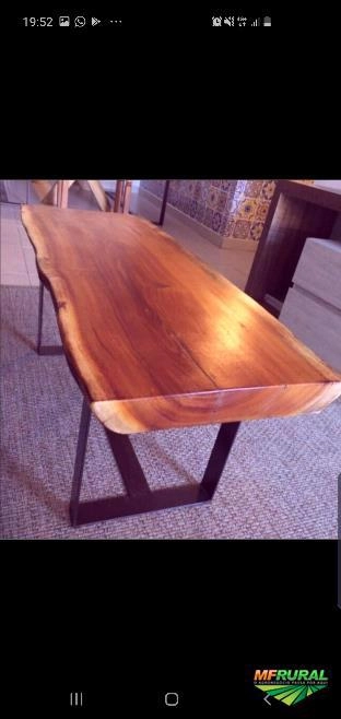 Eucalipto serrado. Pinus serrado. Toras de eucalipto e pinus Imagem Eucalipto serrado. Pinus serrado. Toras de eucalipto e pinus