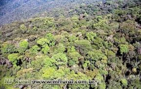 FAZENDA EM GUARATINGA-BA