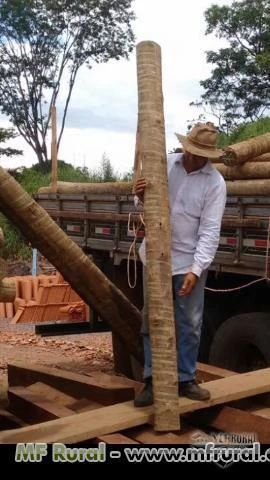 MOURAO DE EUCALIPTO TRATADO ESTACAS E ESTICADORES