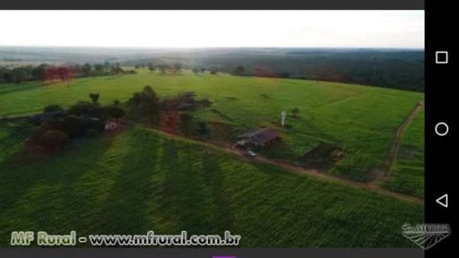 Fazenda no município de Uberlândia-MG