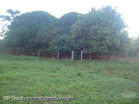 Fazenda com 2.170 hectares