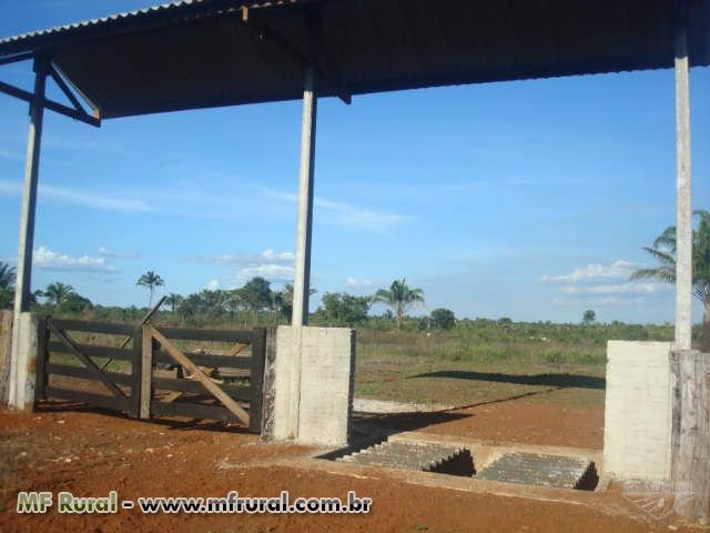 Fazenda com 2.170 hectares