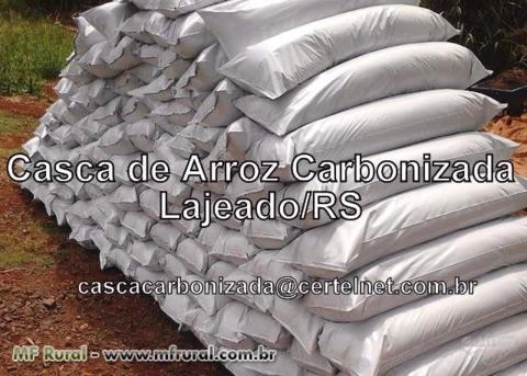 Casca de arroz carbonizada Imagem Casca de arroz carbonizada