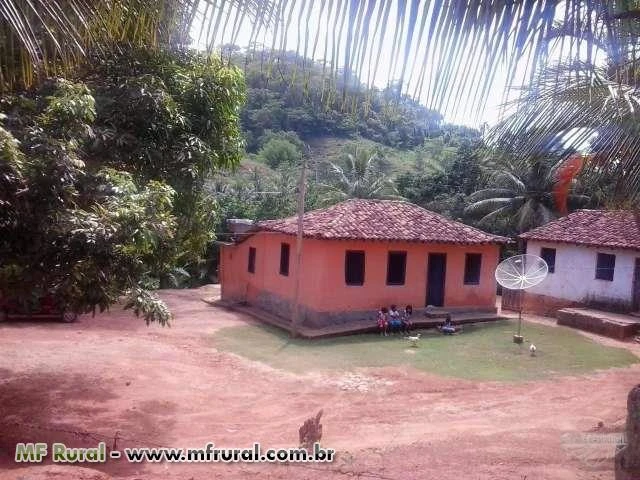 Sitio com 2 Casas Rusticas e Plantacoes de Teca e de Coco Anao Verde