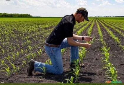 CONSULTORIA TÉCNICO AGRÍCOLA