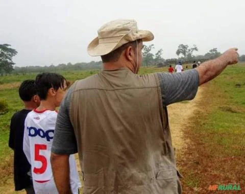 CONSULTORIA TÉCNICO AGRÍCOLA