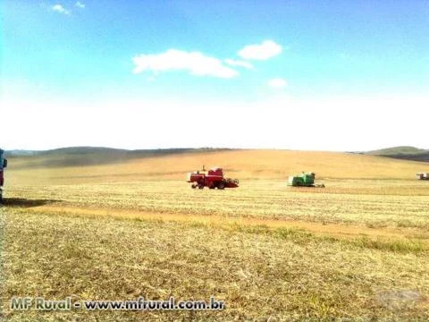 Fazenda Agropecuária com 625 hectares