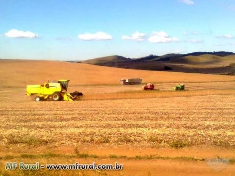 Fazenda Agropecuária com 625 hectares