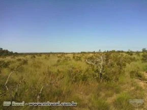 FAZENDA TOCANTINS  CERCADA, FÁCIL ACESSO