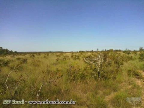 FAZENDA TOCANTINS  CERCADA, FÁCIL ACESSO