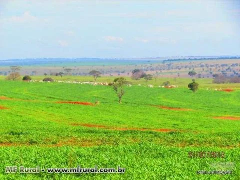 OPORTUNIDADE - VENDO FAZENDA 1.669 HA EM RANCHARIA ÓTIMA PARA ACRICULTURA E PECUARIA