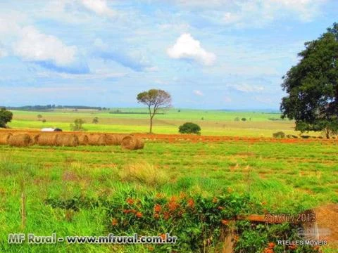 OPORTUNIDADE - VENDO FAZENDA 1.669 HA EM RANCHARIA ÓTIMA PARA ACRICULTURA E PECUARIA