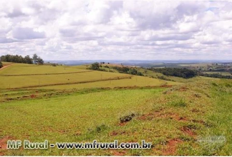 OPORTUNIDADE- VENDA DE SÍTIO DE 27 ALQUEIRES EM TIMBURI SP - ACEITO IMÓVEL EM SP