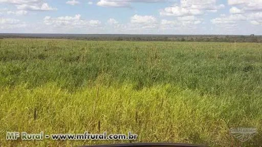 OPORTUNIDADE! FAZENDA NA CANARANA MT 1.236 HA PLANTA 80% 10 ANOS PARA PAGAR, DETALHES NA DESCRIÇÃO