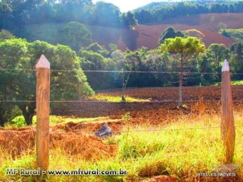 Oportunidade - Fazenda em Socorro Sp arrendada em batata, mexerica e pasto com 130 ha