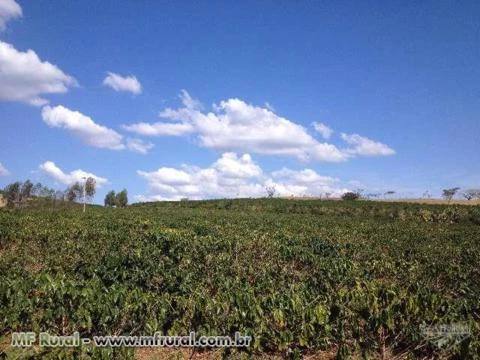 Oportunidade - Fazenda centenária de cafe em Serra Negra Sp 121ha