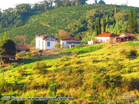 Oportunidade - Fazenda centenária de cafe em Serra Negra Sp 121ha