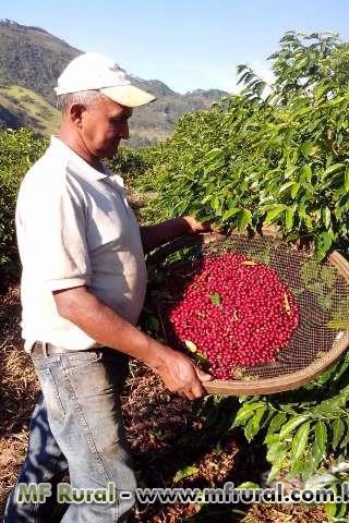 Oportunidade - Fazenda de café orgânico no Sul de Minas Gerais - 484 ha c/água mineral registra
