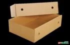 Caixa de papelão para frigorífico