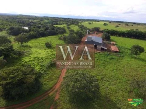 Fazenda de Alto padrão no Tocantins