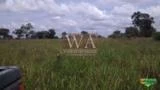 Fazenda com abundância de água no vale do Araguaia em Abreulândia-To