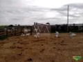 Fazenda para pecuária com preço atrativo na região do vale do Araguaia