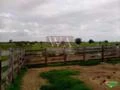 Fazenda para pecuária com preço atrativo na região do vale do Araguaia