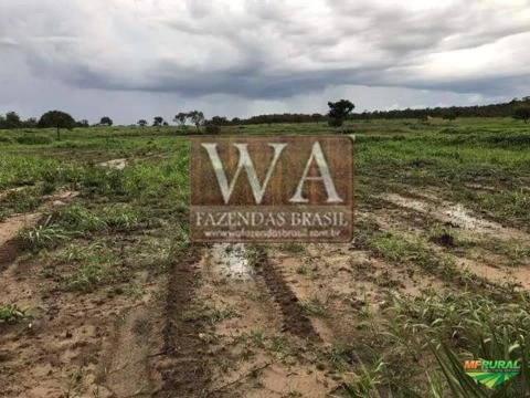 Fazenda toda pronta e montada com rio e ótimas terras  em Cristalândia-To