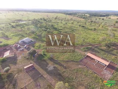 Fazenda de alto padrão muito bem localizada em Divinópolis -Tocantins