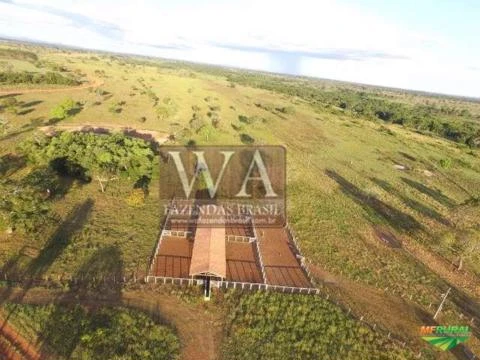 Fazenda de alto padrão muito bem localizada em Divinópolis -Tocantins