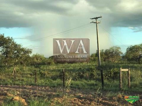 Fazenda de alto padrão muito bem localizada em Divinópolis -Tocantins