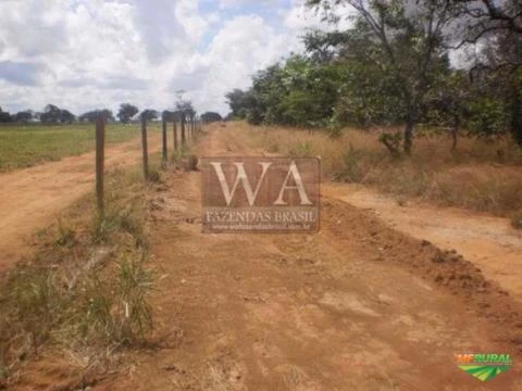 Fazenda na região do vale do Araguaia ótima para agricultura