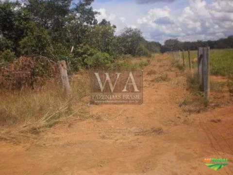 Fazenda na região do vale do Araguaia ótima para agricultura