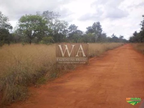 Fazenda na região do vale do Araguaia ótima para agricultura