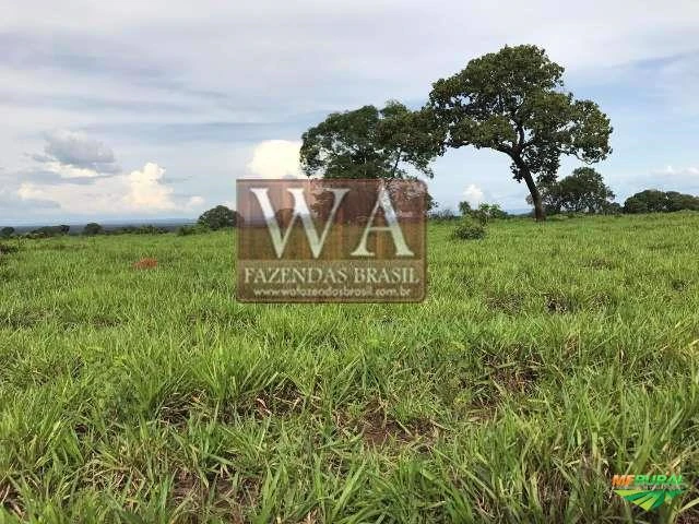 Fazenda ótima para pecuária e lavoura ou integração das mesmas