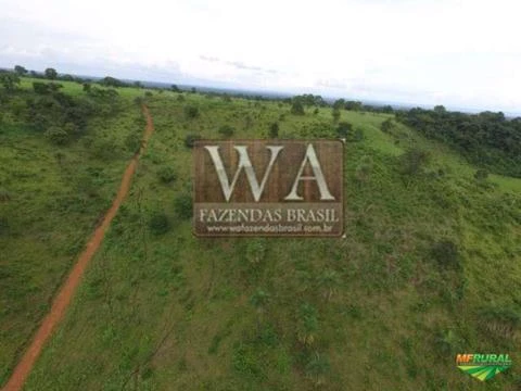 Fazenda ótima para pecuária e lavoura ou integração das mesmas