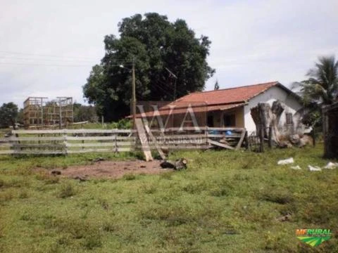 Fazenda excelente para pecuária