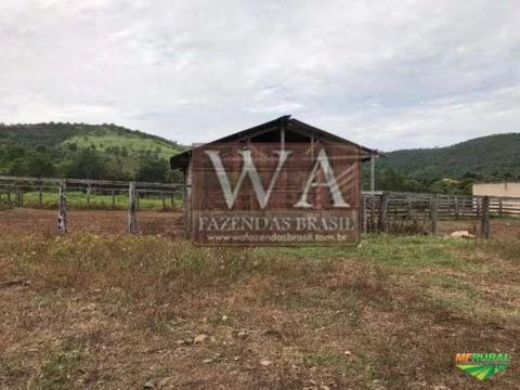 Fazenda excelente para pecuária e agricultura