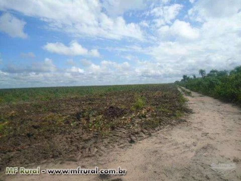 Fazenda à venda no Maranhão (chapadinha)