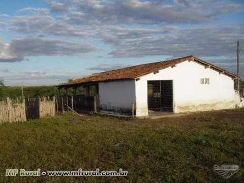 Fazenda em Morada Nova CE 753 Hectares Doc/ Geo
