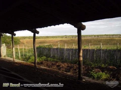 Fazenda em Morada Nova CE 753 Hectares Doc/ Geo