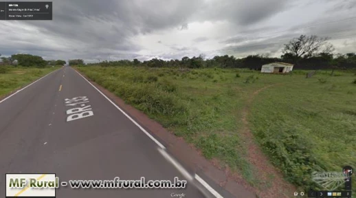 Fazenda na Matopiba, em Monte Alegre do Piauí - PI